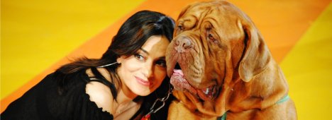 Visualizza: 'I love my dog', su Italia 1 uno show dedicato ai nostri amici a quattro zampe su Digital-News.it Immagine di 'I love my dog', su Italia 1 uno show dedicato ai nostri amici a quattro zampe - Scopri di più su Televisione